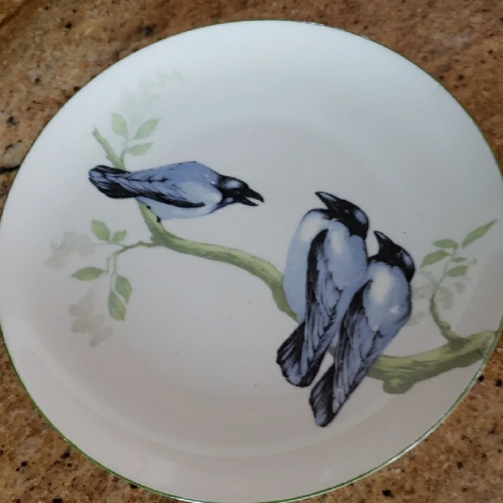 MZ Moritz Zdekauer Austria Blue Black Birds 8.5